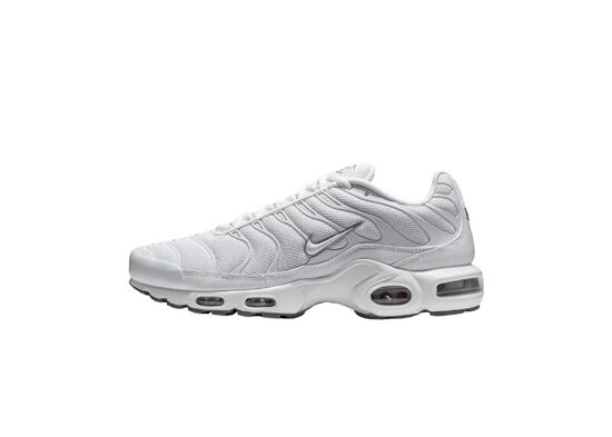 Nike Air Max Plus White